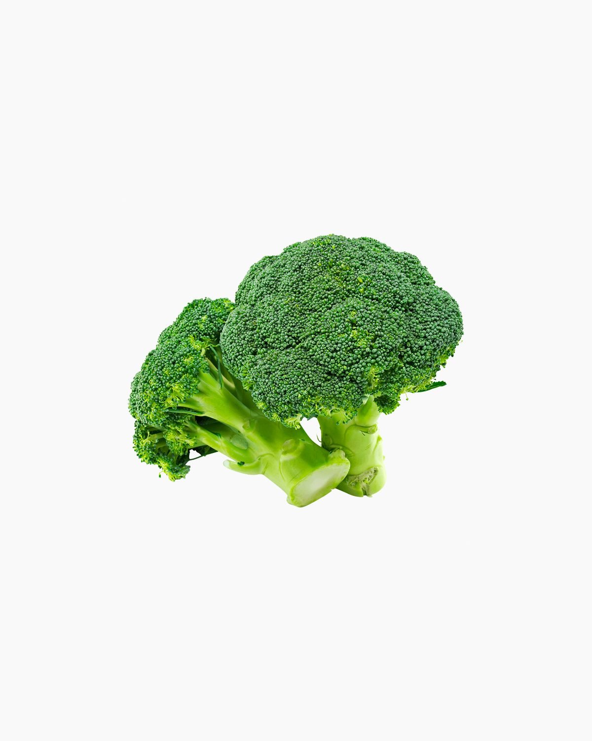 Broccoli